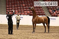 09buck-0418 proof