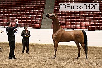 09buck-0420 proof