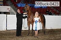 09buck-0423 proof