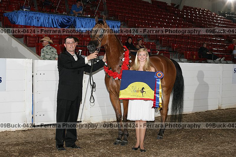 Proof 09buck-0424