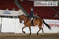 09buck-0432 proof