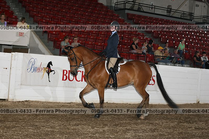 Proof 09buck-0433