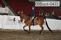 09buck-0433 proof