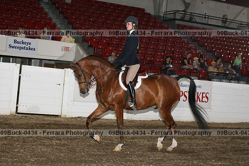 Proof 09buck-0434