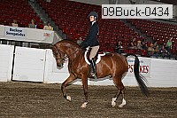 09buck-0434 proof