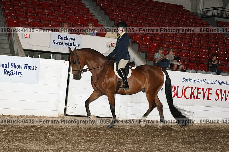Proof 09buck-0435