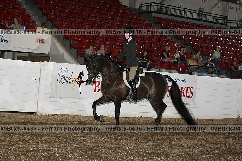 Proof 09buck-0436