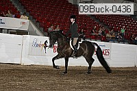 09buck-0436 proof