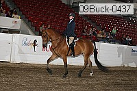 09buck-0437 proof