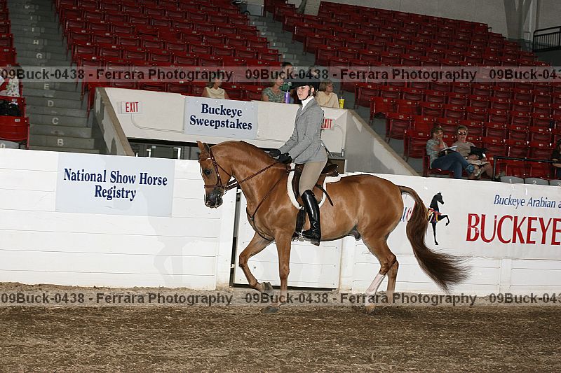 Proof 09buck-0438