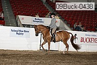 09buck-0438 proof