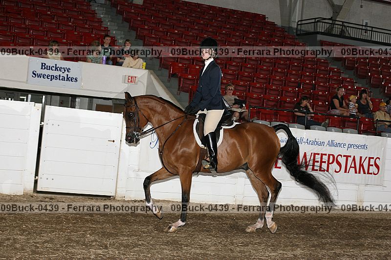 Proof 09buck-0439
