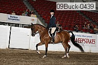 09buck-0439 proof