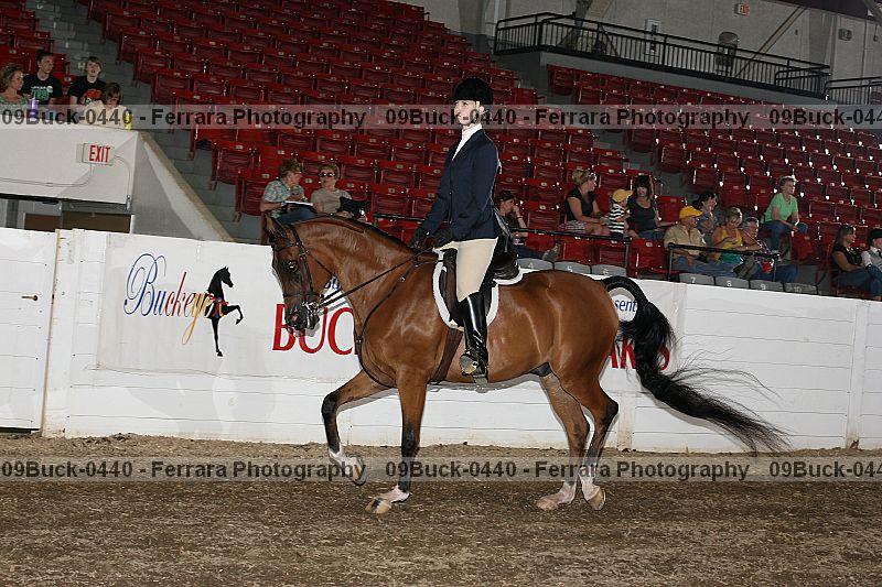 Proof 09buck-0440