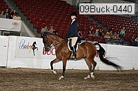 09buck-0440 proof
