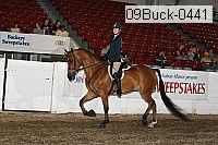09buck-0441 proof