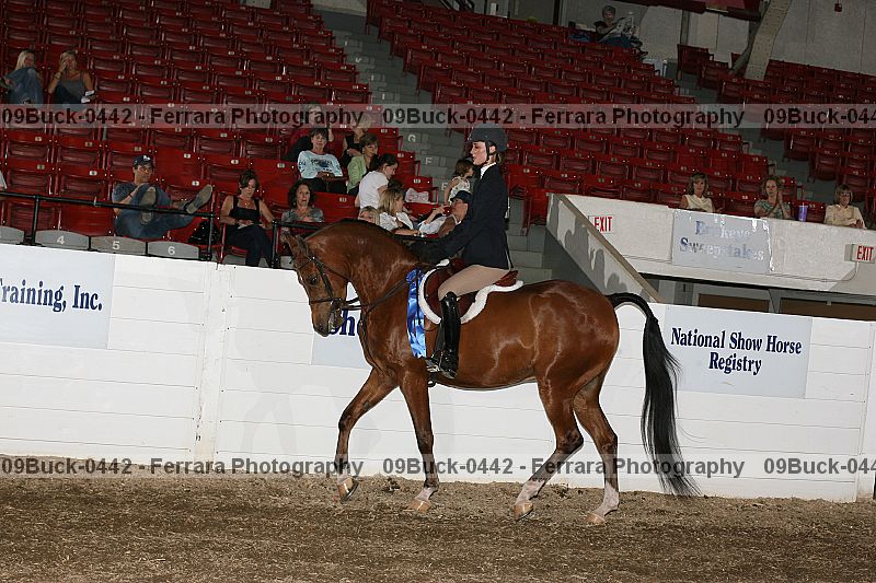Proof 09buck-0442