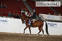 09buck-0442 proof