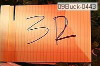 09buck-0443 proof
