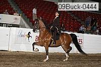 09buck-0444 proof