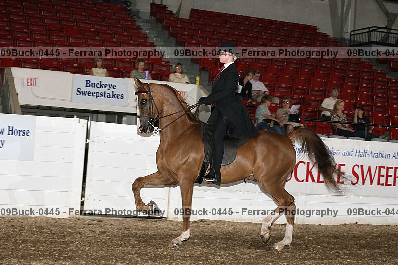 Proof 09buck-0445