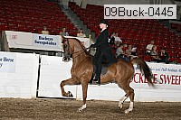 09buck-0445 proof