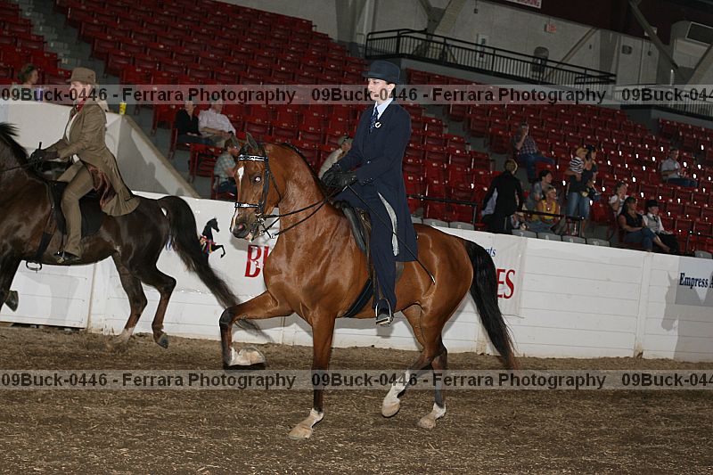 Proof 09buck-0446
