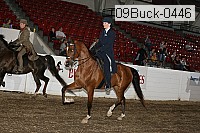 09buck-0446 proof