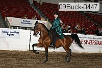 09buck-0447 proof