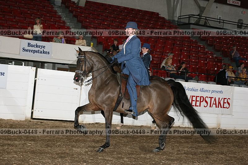Proof 09buck-0448