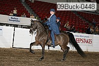 09buck-0448 proof