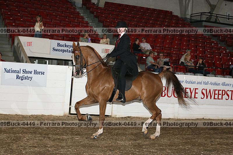 Proof 09buck-0449