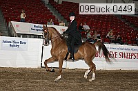 09buck-0449 proof