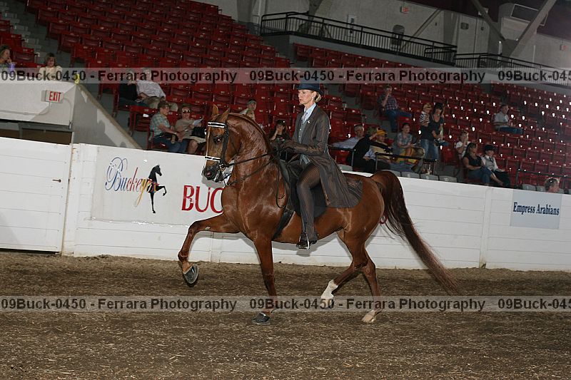 Proof 09buck-0450