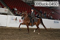 09buck-0450 proof