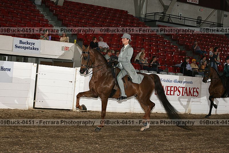Proof 09buck-0451