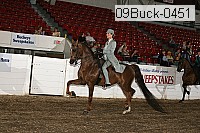 09buck-0451 proof