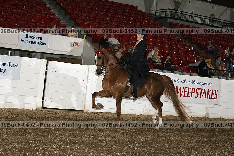 Proof 09buck-0452