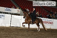 09buck-0452 proof