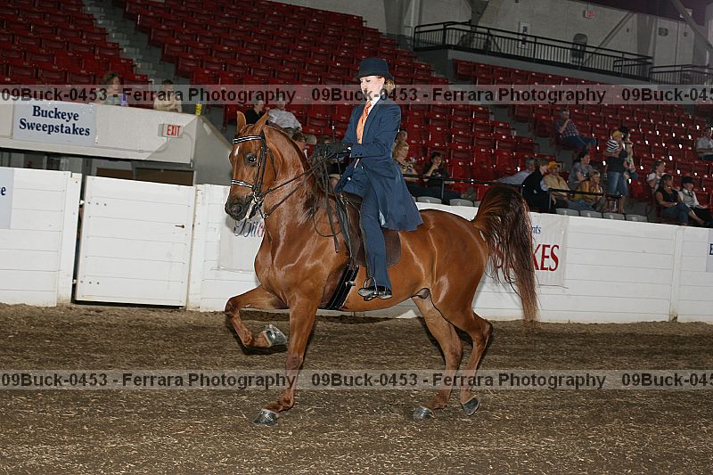 Proof 09buck-0453