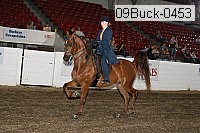 09buck-0453 proof