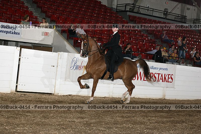 Proof 09buck-0454