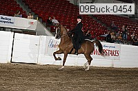 09buck-0454 proof