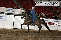 09buck-0455 proof