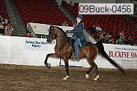 09buck-0456 proof