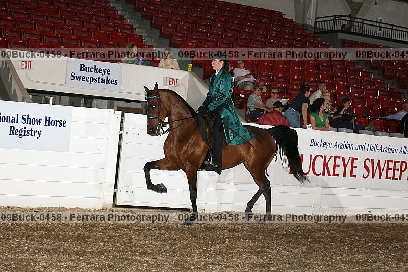 Proof 09buck-0458