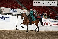 09buck-0458 proof