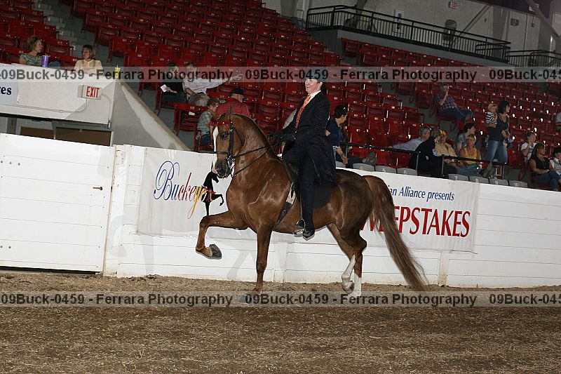 Proof 09buck-0459