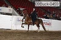 09buck-0459 proof