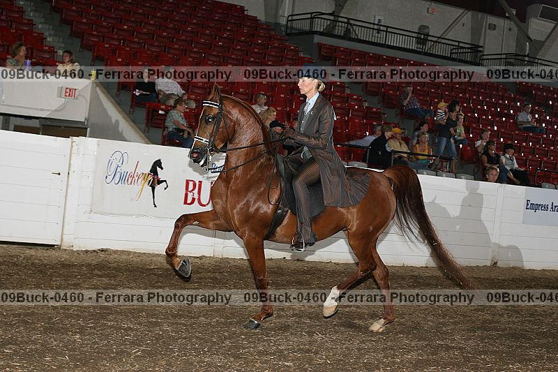 Proof 09buck-0460